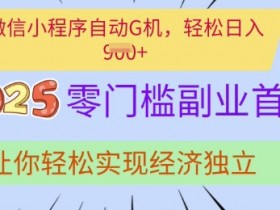 微信小程序副业0门槛：自动运行轻松赚钱，实现经济自由秘诀-54创业网