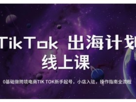 0基础TikTok跨境电商新手起号：小店入驻+运营全流程操作指南-54创业网