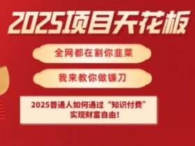 2025知识付费项目天花板：普通人如何实现财F自由？揭秘赚钱秘籍-54创业网