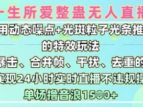 动态噪点+光斑特效：24小时无人直播日入1.5k的整蛊升级玩法9.0-54创业网