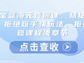 淘宝蓝海无货源课程：精细化运营实战教学，拒绝短平快玩法，完整系统课-54创业网