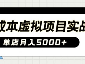 0成本虚拟项目实战：手把手教你单店月入5k，小白轻松落地-54创业网