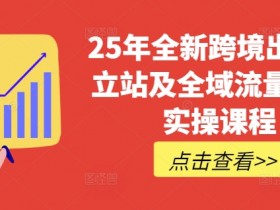 25年跨境电商独立站实操课：TikTok全域营销+普货特货玩法大全-54创业网