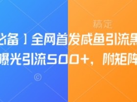 咸鱼引流黑科技：单日曝光500+的矩阵玩法，全网首发揭秘-54创业网