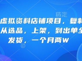 小红书虚拟资料店铺：全自动搬运选品上架，轻松月入2W+-54创业网