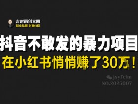 小红书暴利项目：抖音不敢发，有人悄悄赚了30W-54创业网