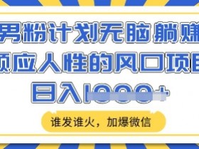 男粉计划躺赚秘籍：顺应人性的风口项目，日入多张加爆微信【揭秘】-54创业网