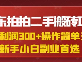 京东拍拍二手搬砖项目：单赚300+小白副业，0门槛兼职赚钱攻略-54创业网