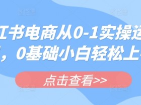 0基础小白必学：小红书电商从0-1实操运营课，轻松上手爆单攻略-54创业网