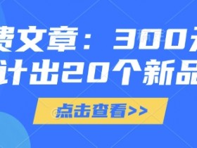 300元设计20个新品：低成本高创意付费文章-54创业网