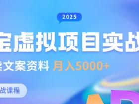 淘宝虚拟项目赚钱攻略：新手卖文案资料轻松月入5k+-54创业网