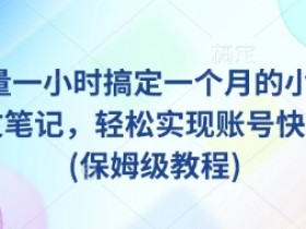 AI小红书爆款图文笔记教程：1小时批量制作30天内容，快速涨粉技巧-54创业网