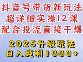 2025抖音带货新玩法：日赚四位数，从剪辑选品到投流发布全流程揭秘-54创业网