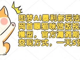 即梦AI暴利新玩法：猫咪做饭视频躺赚模型，官方漏洞期+日入5张，多种变现方式首曝-54创业网
