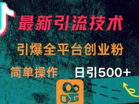 创业粉引流秘籍：简单操作日引300+，全平台引爆流量-54创业网
