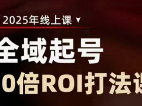 2025直播带货ROI提升课：10倍投资回报率全域起号打法-54创业网