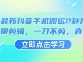 3月抖音手机搬运2种最新方法：无需剪辑直接搬，一刀不剪轻松上热门-54创业网