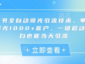 小红书精准引流技术：全自动曝光1000+客户，新手当天见效-54创业网