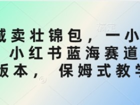 小红书蓝海赛道3.0：壮锦包私域变现保姆课，1小时狂卖3单！-54创业网