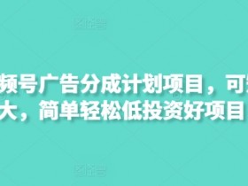 视频号广告分成：矩阵放大低投资好项目，轻松赚钱快上手-54创业网