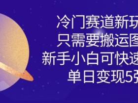 搬运图片轻松赚钱：冷门赛道新手单日多张变现玩法-54创业网