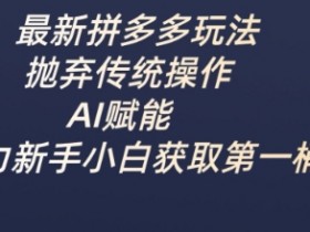 拼多多AI新玩法：新手小白轻松赚第一桶金的实战教程-54创业网