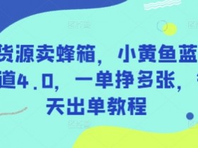 无货源卖蜂箱赚钱：小黄鱼蓝海赛道4.0一单多利，日日出单实战教程-54创业网