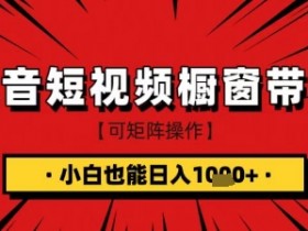 抖音食品带货：新手如何日赚1000+？短视频橱窗玩法大揭秘-54创业网