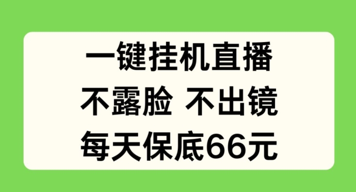一键自动运行直播，不露脸不出境，每天保底66元【揭秘】