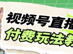 视频号美女无人直播赚钱：日入500+的付费直播玩法教程-54创业网