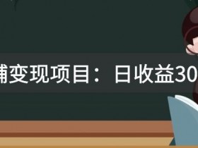 2680元教辅变现项目：日赚3000+实战教学，附全套引流变现资料资源-54创业网
