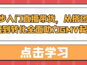 新手直播带货教程：0基础搭建团队、引流转化提升GMV全攻略-54创业网