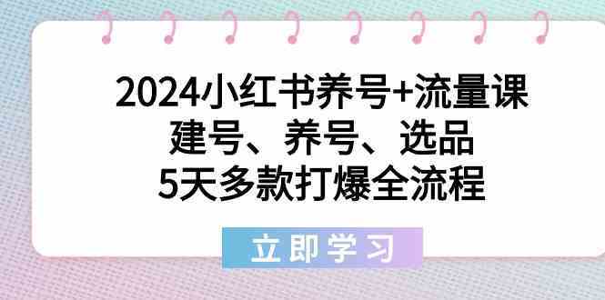 2024小红书养号流量课：5天打爆多款全流程，建号养号选品技巧-54创业网