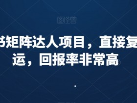 小红书矩阵达人项目：0成本搬运，回报率超高，轻松赚钱！-54创业网
