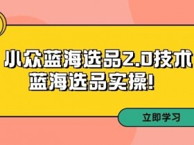 拼多多蓝海选品2.0技术培训：小众爆款实操第33期-54创业网