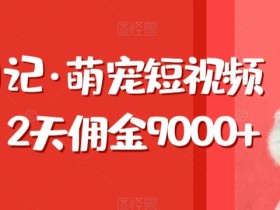 萌宠短视频带货2天赚9000+：东哲日记实战分享-54创业网