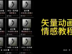 矢量动画情感教程：3步打造高点赞涨粉爆款，情感思维创业必学-54创业网