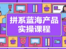 拼多多冷门蓝海产品实操：从开店选品到爆单维护全流程-54创业网
