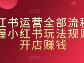 小红书运营全流程：从开店赚钱到掌握平台玩法规则-54创业网