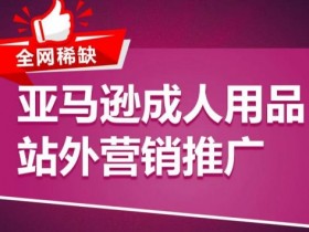 亚马逊成人用品推广：站外营销与新品爆款打造方案-54创业网