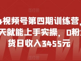 2024视频号训练营：0粉新手1天上手，日带货收入3455元实操教程-54创业网