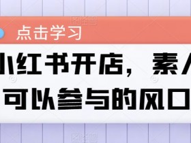 素人也能开小红书店铺？抓住这个赚钱风口，0基础开店攻略-54创业网