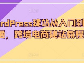跨境电商建站教程：WordPress从入门到精通实战指南-54创业网