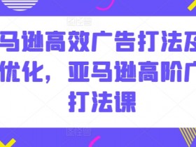 亚马逊高阶广告打法：高效优化技巧提升销量-54创业网