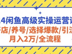 2024闲鱼高级运营课：开店养号选爆款引流技巧，轻松月入2万全流程实操-54创业网