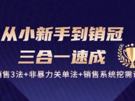 销售3法+非暴力关单+挖需系统课：27节从小白到销冠速成指南-54创业网