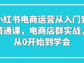 小红书电商运营课：0基础入门到精通，店群实战速成指南-54创业网