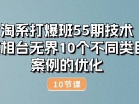 淘系打爆班55期：万相台无界10大类目优化案例实战（10节课）-54创业网