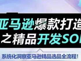 亚马逊精品选品SOP训练营：爆款开发全流程系统课-54创业网