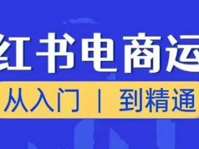 小红书电商运营课：0基础入门到精通，抓住赚钱风口实战教学-54创业网